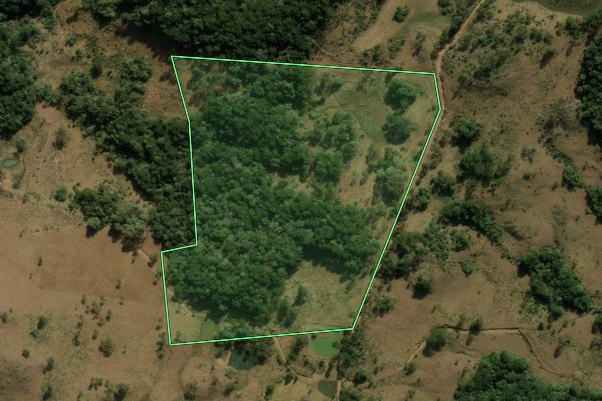 Imagem de satélite do imóvel rural em Bom Jesus (RS), com o contorno declarado no CAR desenhado por cima.