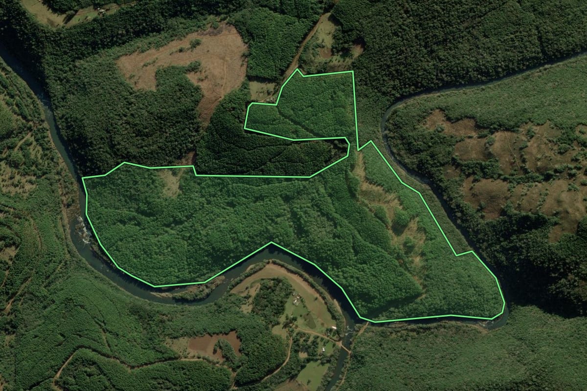 Imagem de satélite do imóvel rural em Bom Jesus (RS), com o contorno declarado no CAR desenhado por cima.