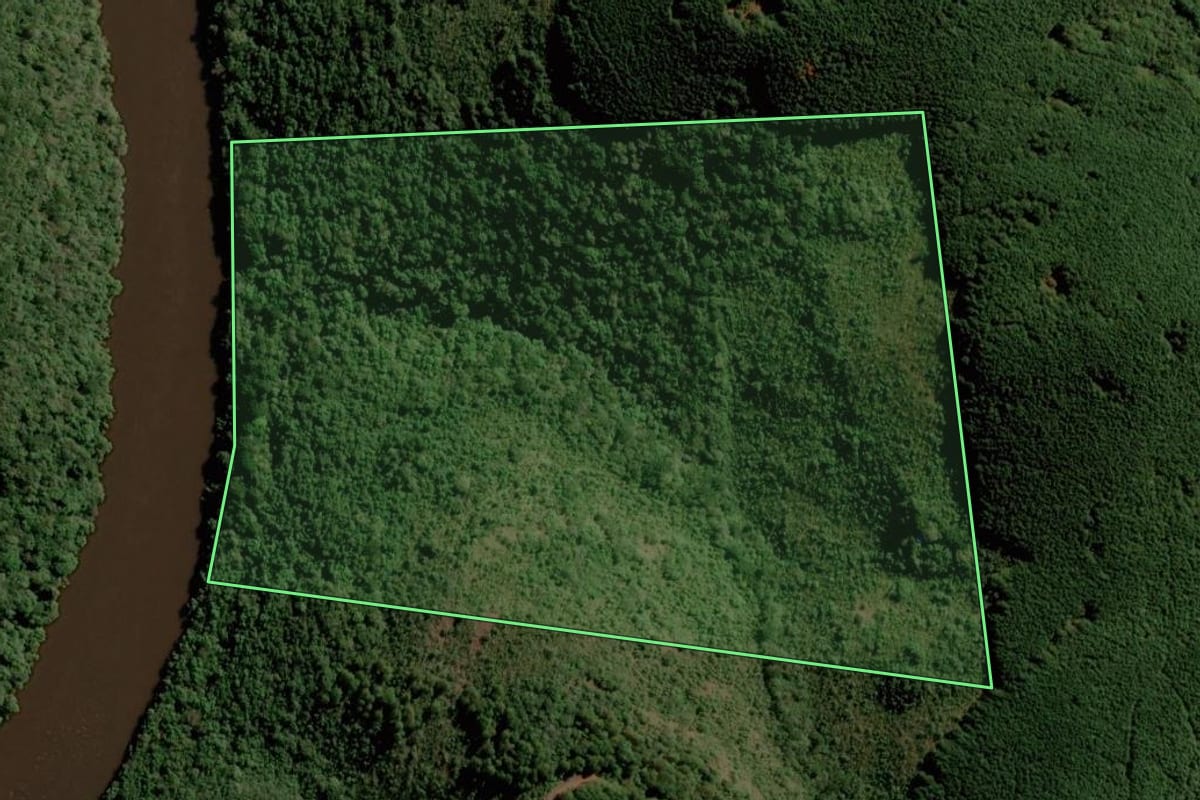 Imagem de satélite do imóvel rural em Bom Jesus (RS), com o contorno declarado no CAR desenhado por cima.