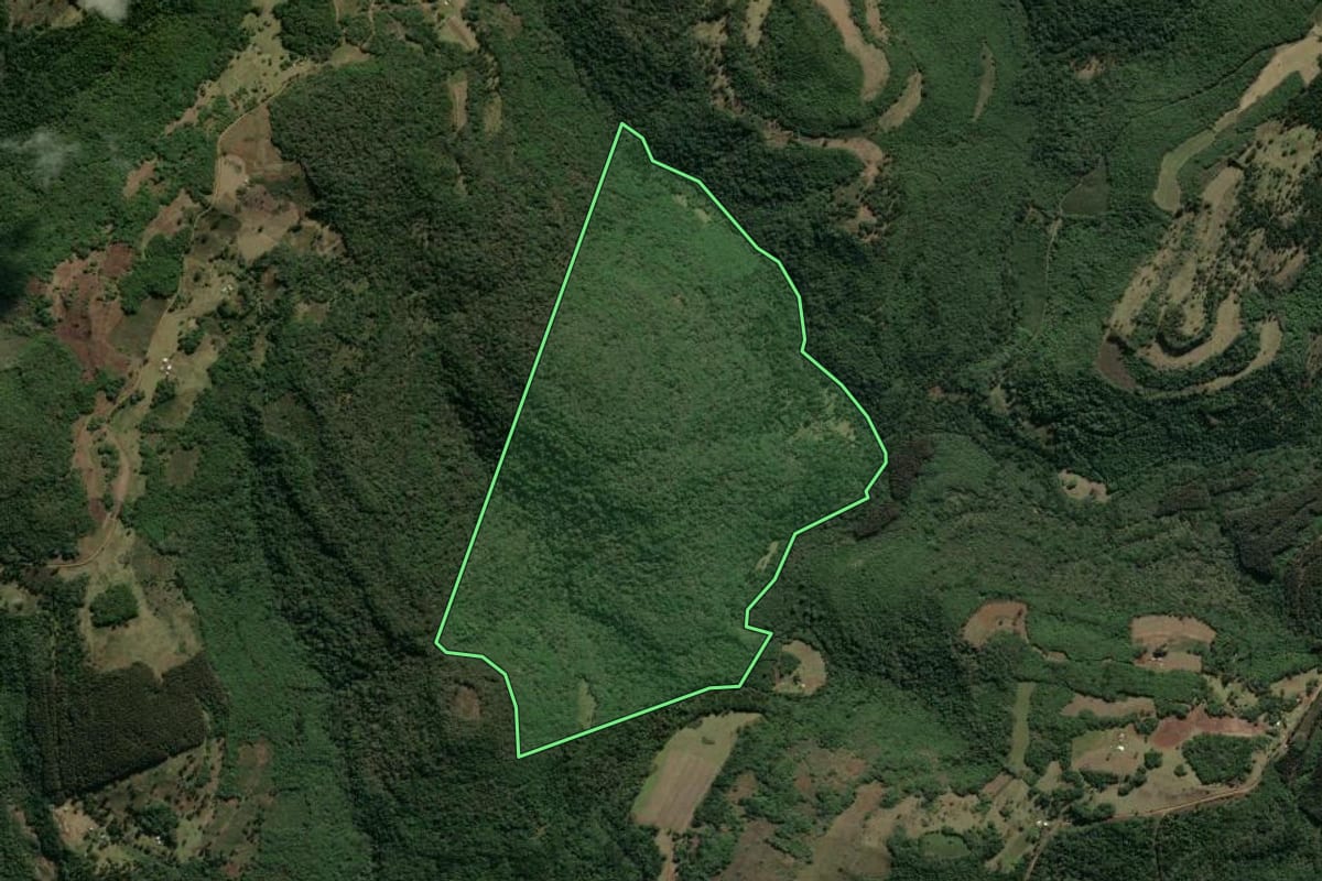 Imagem de satélite do imóvel rural em Bom Jesus (RS), com o contorno declarado no CAR desenhado por cima.