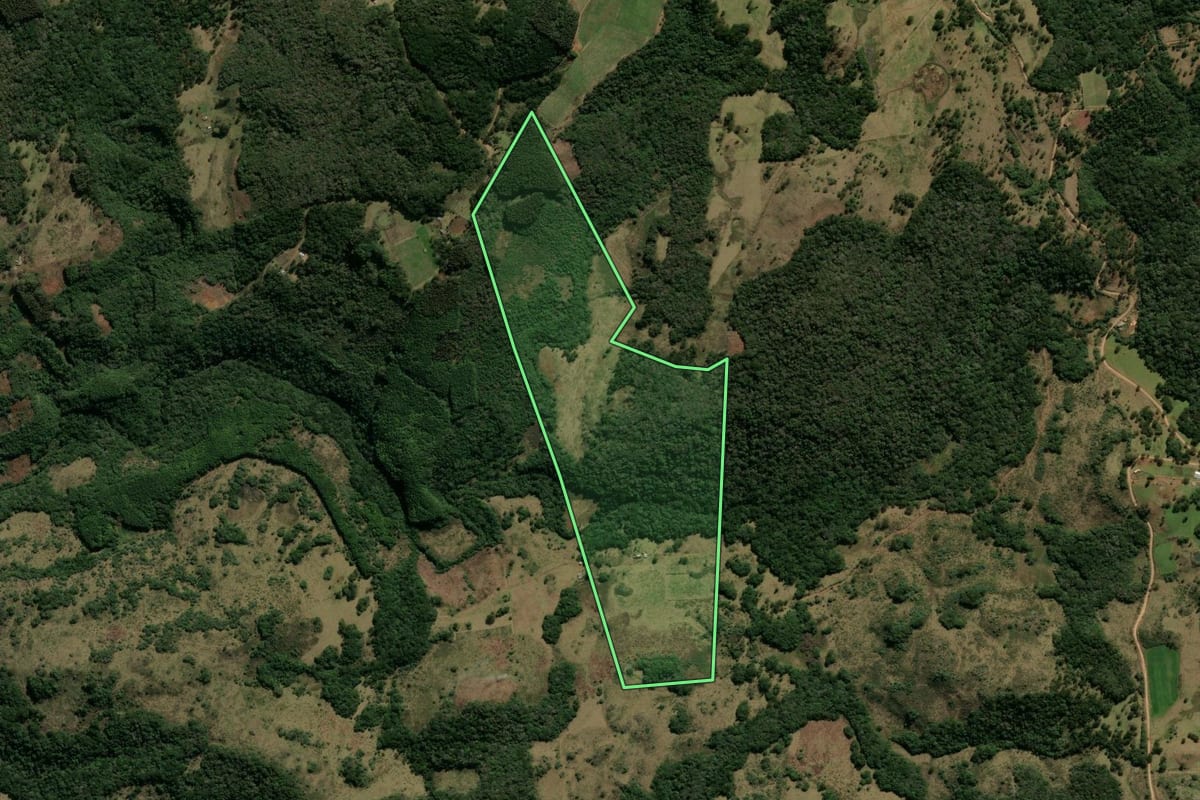 Imagem de satélite do imóvel rural em Bom Jesus (RS), com o contorno declarado no CAR desenhado por cima.