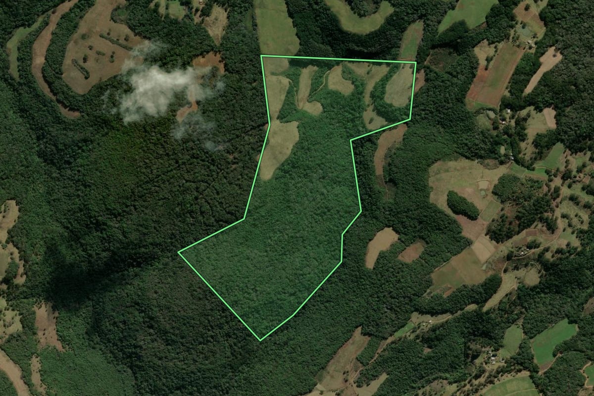 Imagem de satélite do imóvel rural em Bom Jesus (RS), com o contorno declarado no CAR desenhado por cima.