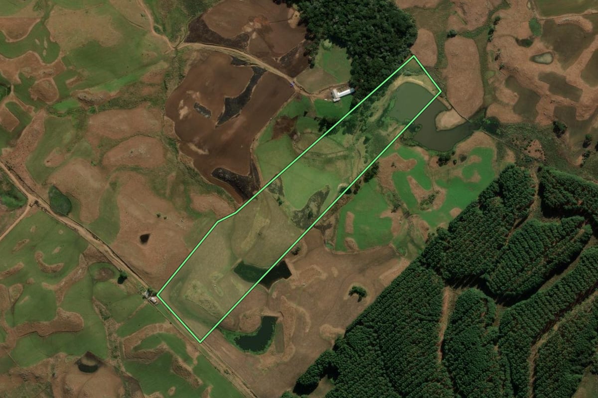 Imagem de satélite do imóvel rural em Bom Jesus (RS), com o contorno declarado no CAR desenhado por cima.