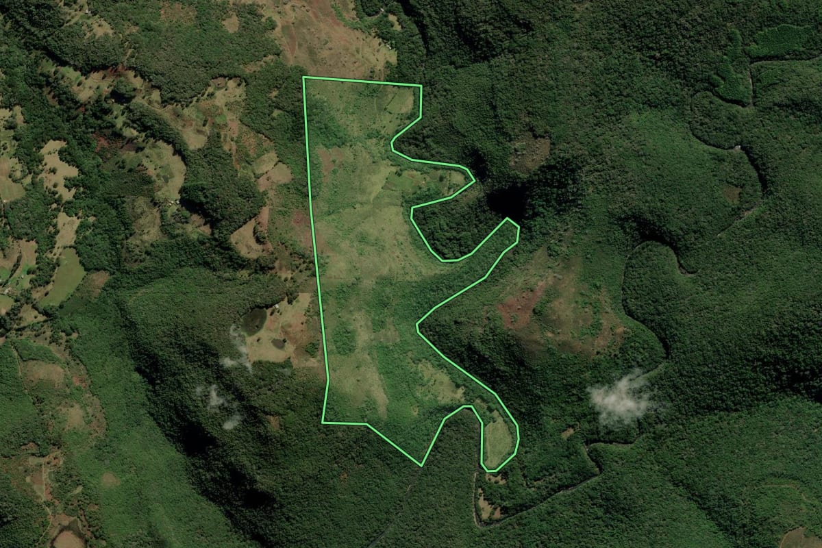 Imagem de satélite do imóvel rural em Bom Jesus (RS), com o contorno declarado no CAR desenhado por cima.