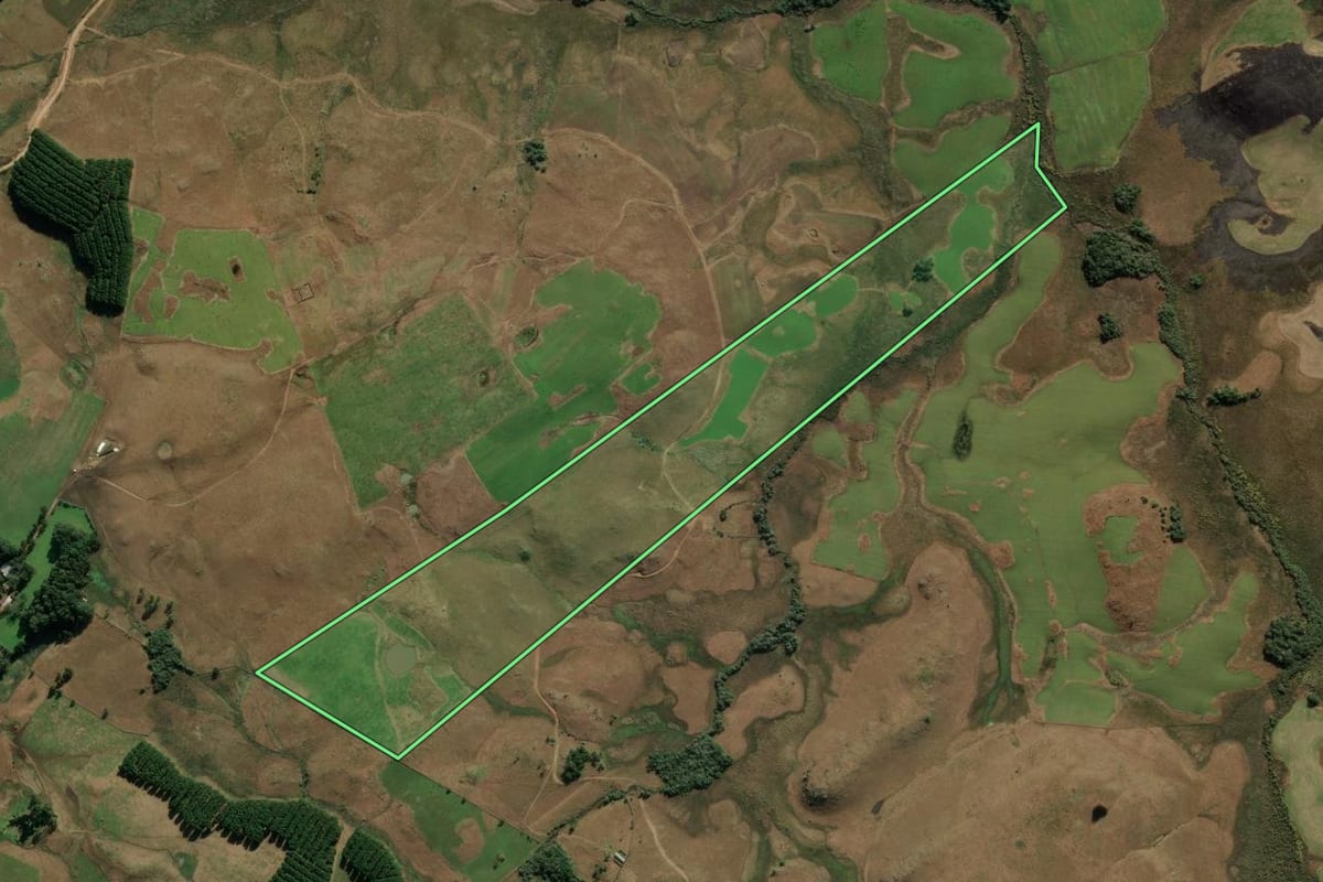Imagem de satélite do imóvel rural em Bom Jesus (RS), com o contorno declarado no CAR desenhado por cima.