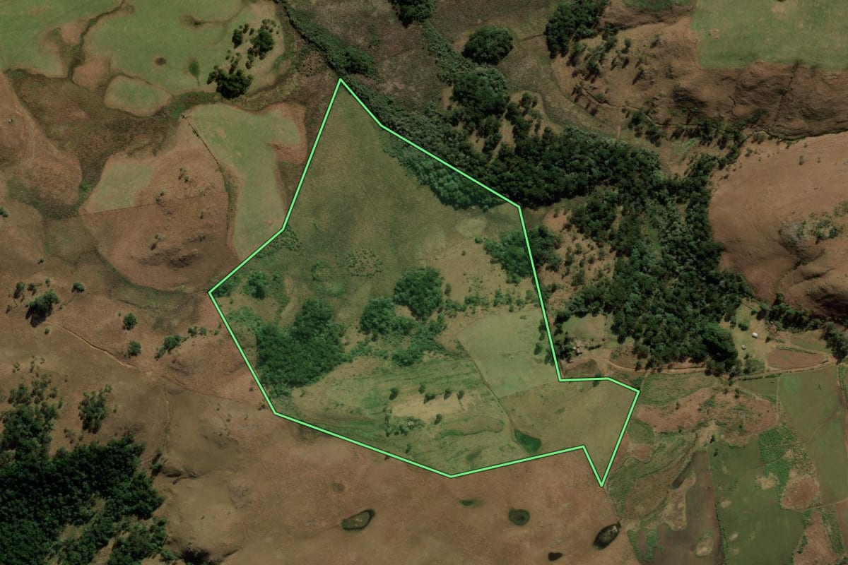 Imagem de satélite do imóvel rural em Bom Jesus (RS), com o contorno declarado no CAR desenhado por cima.