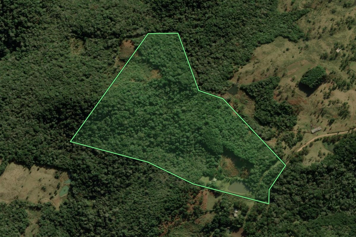 Imagem de satélite do imóvel rural em Bom Jesus (RS), com o contorno declarado no CAR desenhado por cima.