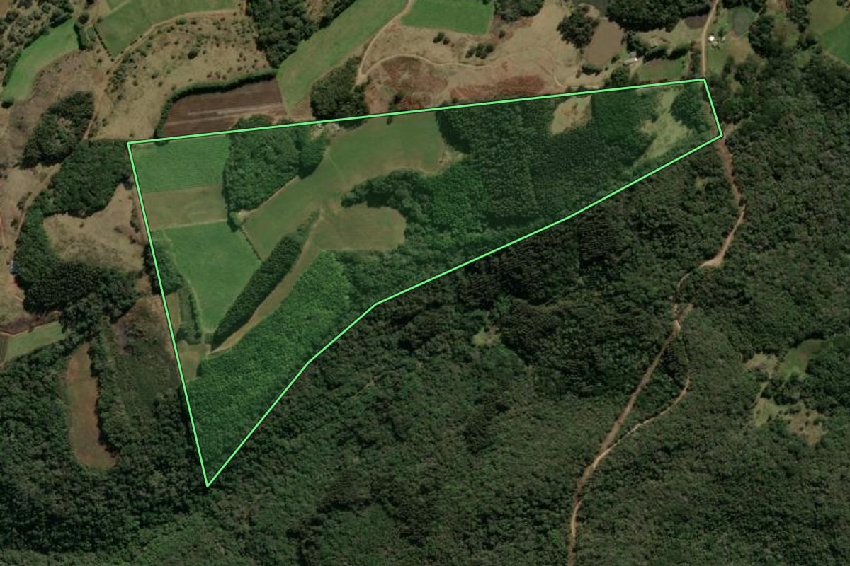 Imagem de satélite do imóvel rural em Bom Jesus (RS), com o contorno declarado no CAR desenhado por cima.