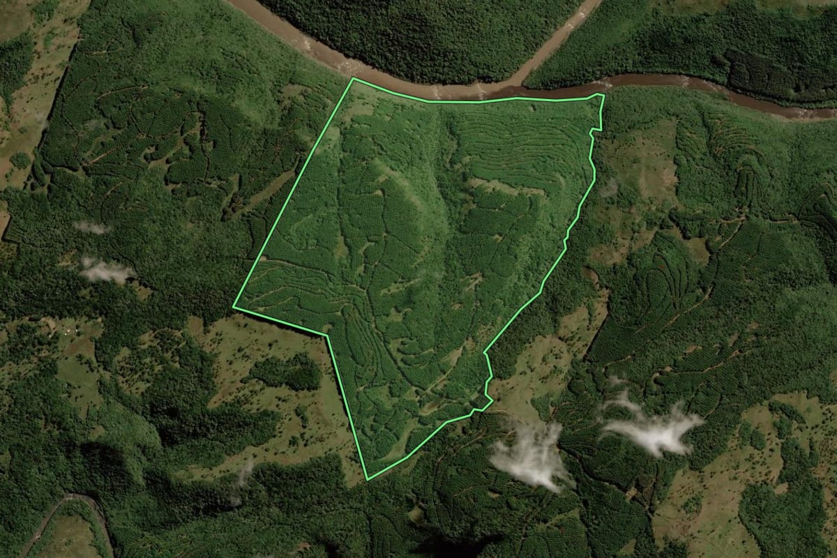 Imagem de satélite do imóvel rural em Bom Jesus (RS), com o contorno declarado no CAR desenhado por cima.