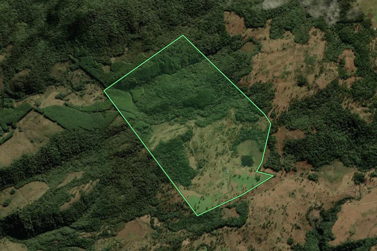 Imagem de satélite do imóvel rural em Bom Jesus (RS), com o contorno declarado no CAR desenhado por cima.