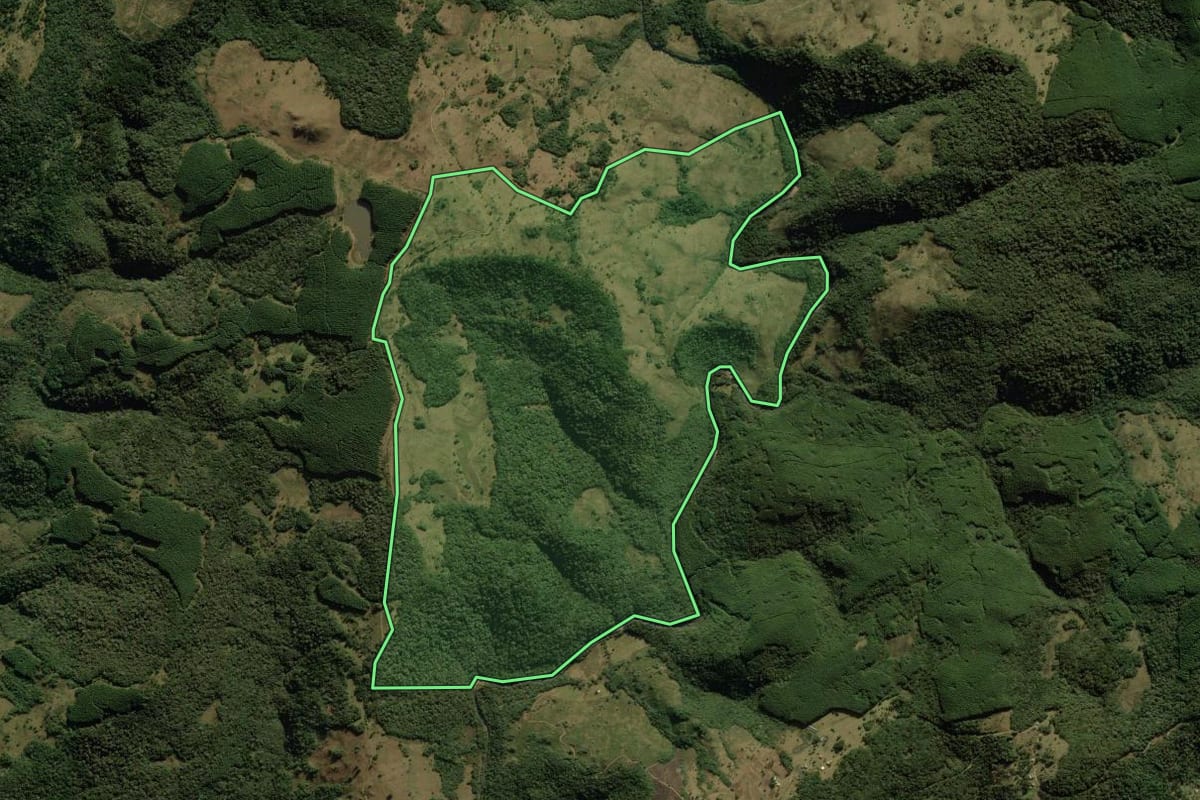 Imagem de satélite do imóvel rural em Bom Jesus (RS), com o contorno declarado no CAR desenhado por cima.