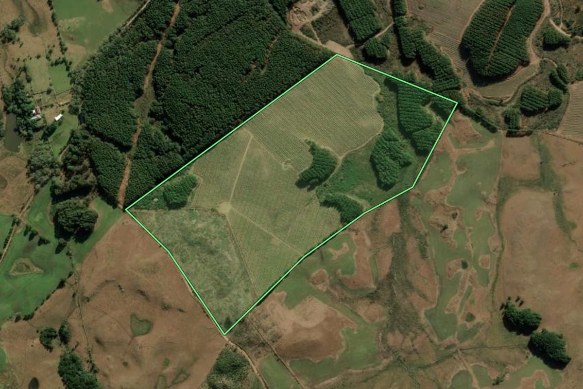Imagem de satélite do imóvel rural em Bom Jesus (RS), com o contorno declarado no CAR desenhado por cima.