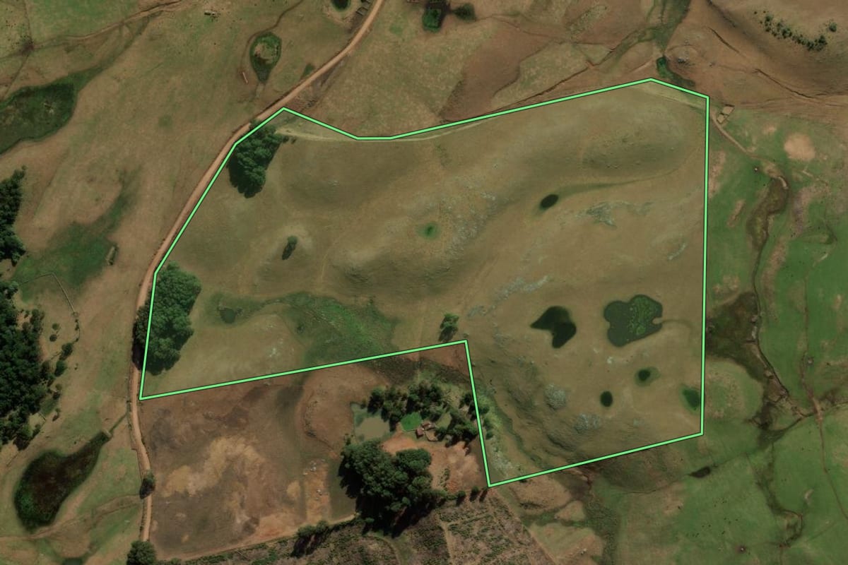 Imagem de satélite do imóvel rural em Bom Jesus (RS), com o contorno declarado no CAR desenhado por cima.