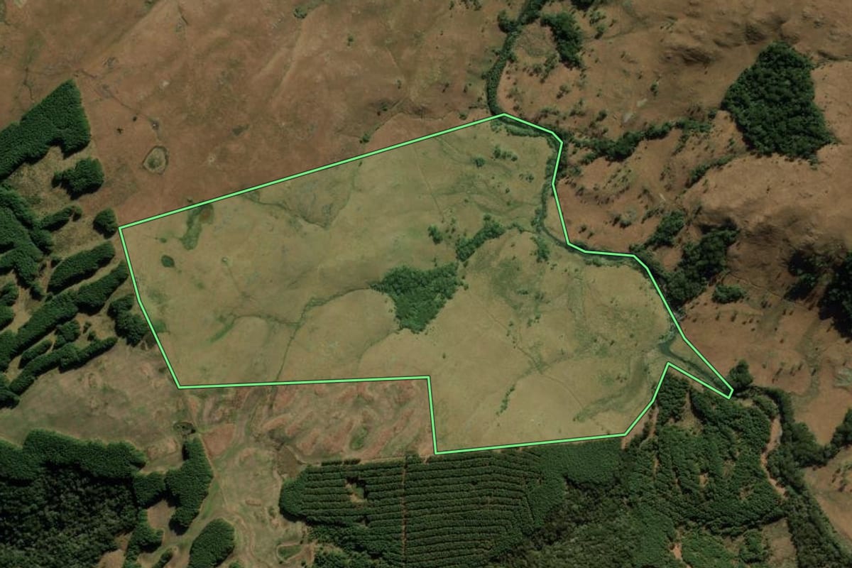 Imagem de satélite do imóvel rural em Bom Jesus (RS), com o contorno declarado no CAR desenhado por cima.