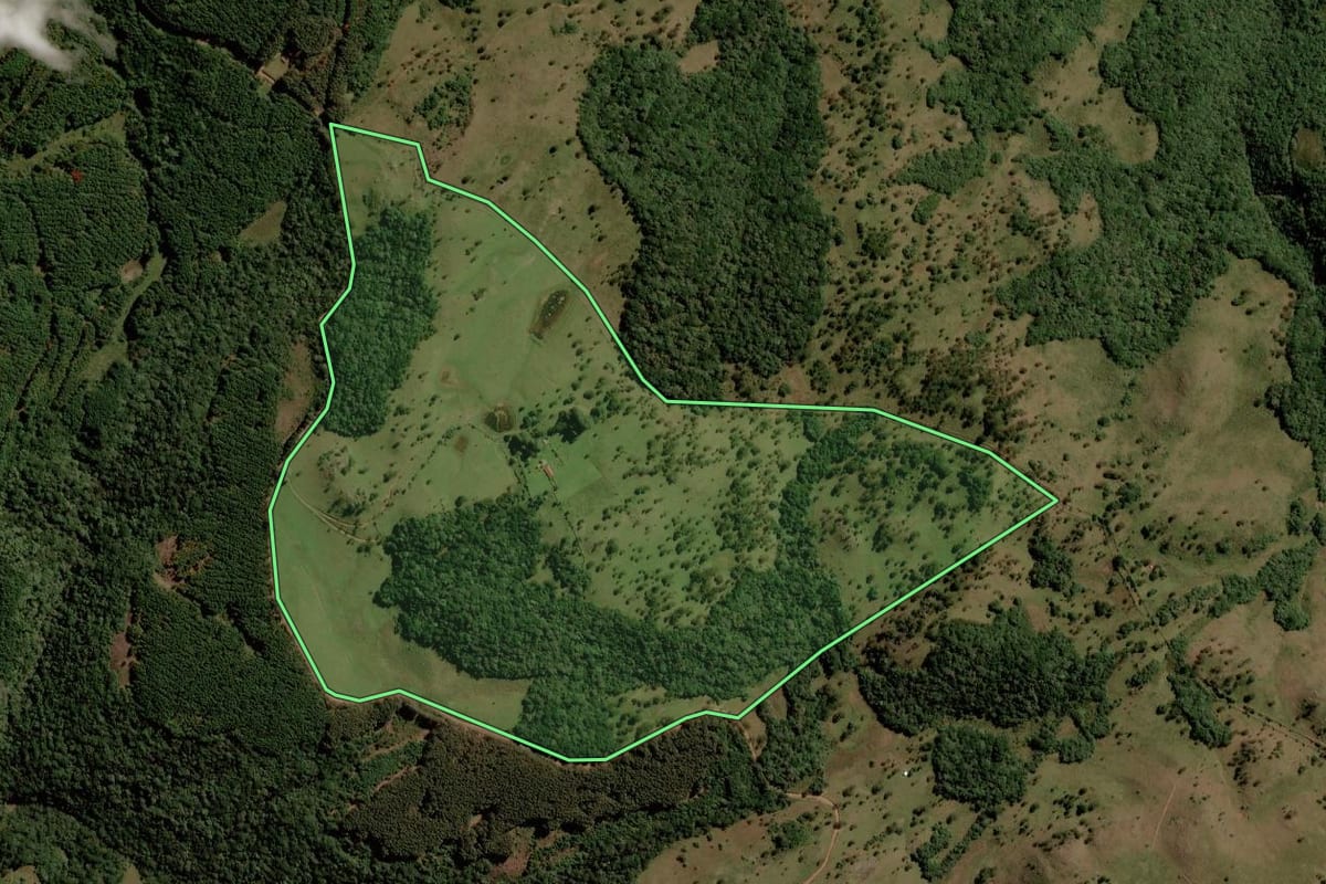 Imagem de satélite do imóvel rural em Bom Jesus (RS), com o contorno declarado no CAR desenhado por cima.