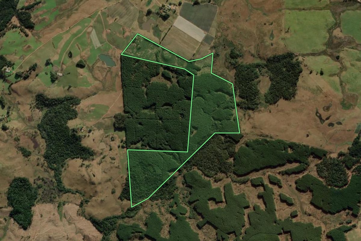 Imagem de satélite do imóvel rural em Bom Jesus (RS), com o contorno declarado no CAR desenhado por cima.