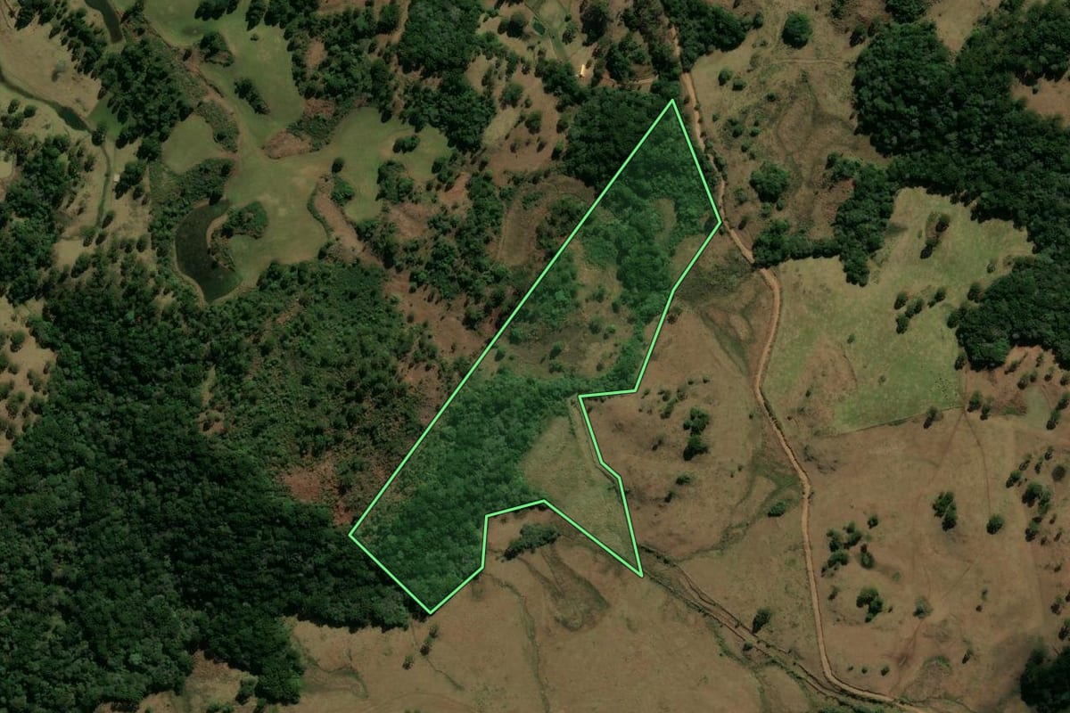 Imagem de satélite do imóvel rural em Bom Jesus (RS), com o contorno declarado no CAR desenhado por cima.