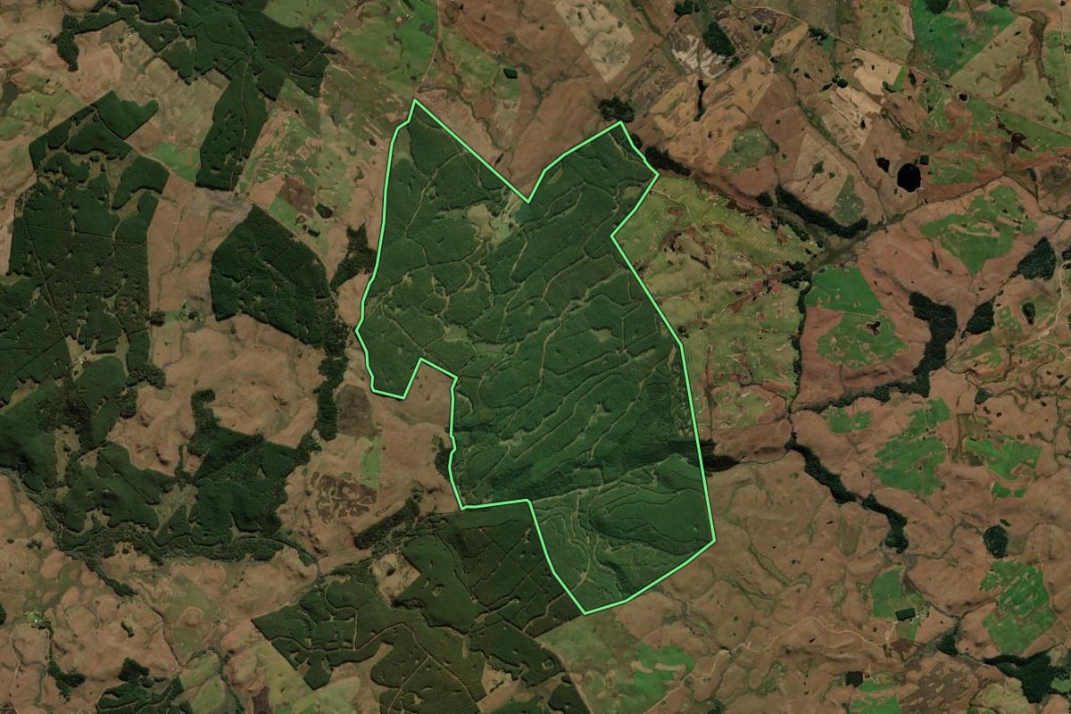 Imagem de satélite do imóvel rural em Bom Jesus (RS), com o contorno declarado no CAR desenhado por cima.