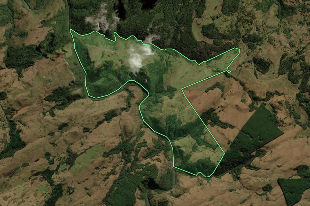 Imagem de satélite do imóvel rural em Bom Jesus (RS), com o contorno declarado no CAR desenhado por cima.