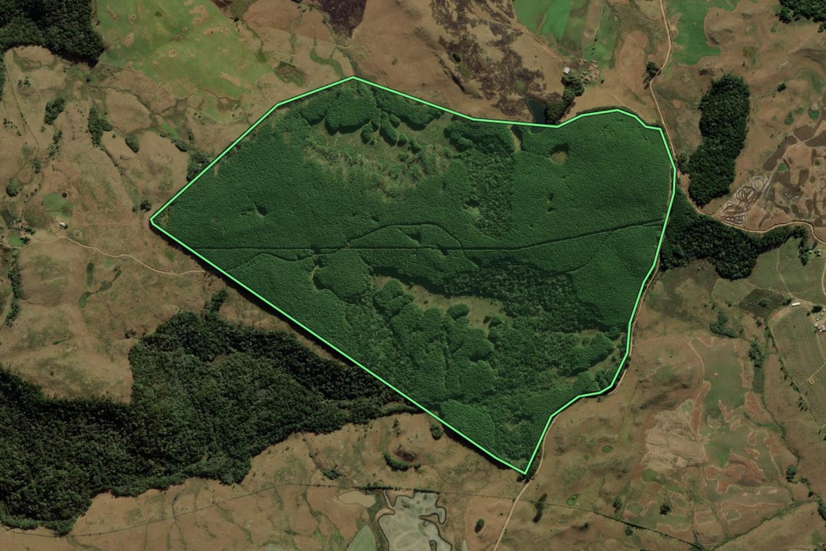 Imagem de satélite do imóvel rural em Bom Jesus (RS), com o contorno declarado no CAR desenhado por cima.