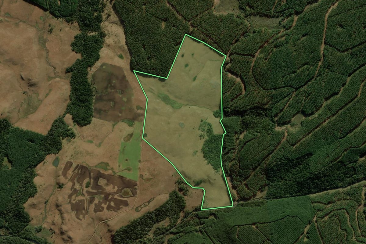 Imagem de satélite do imóvel rural em Bom Jesus (RS), com o contorno declarado no CAR desenhado por cima.