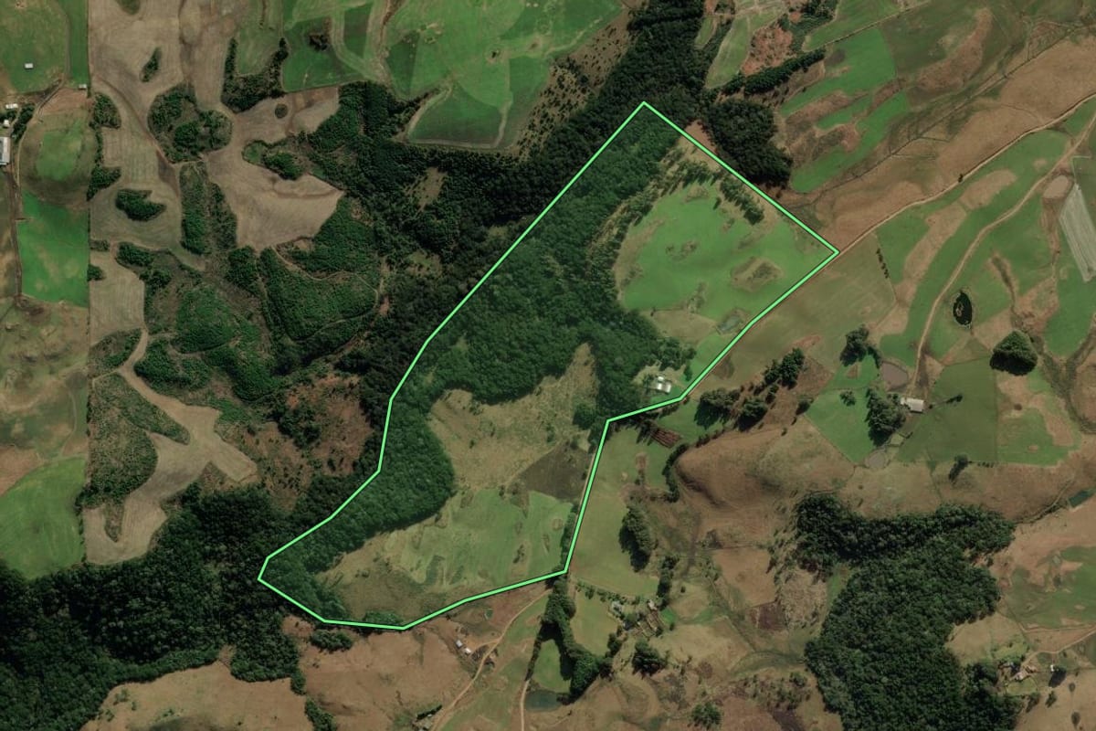 Imagem de satélite do imóvel rural em Bom Jesus (RS), com o contorno declarado no CAR desenhado por cima.