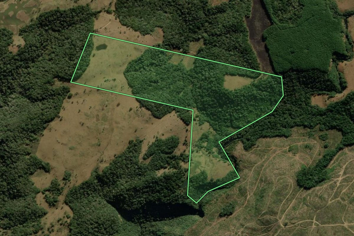 Imagem de satélite do imóvel rural em Bom Jesus (RS), com o contorno declarado no CAR desenhado por cima.
