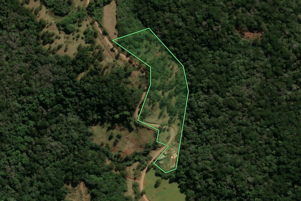 Imagem de satélite do imóvel rural em Bom Jesus (RS), com o contorno declarado no CAR desenhado por cima.