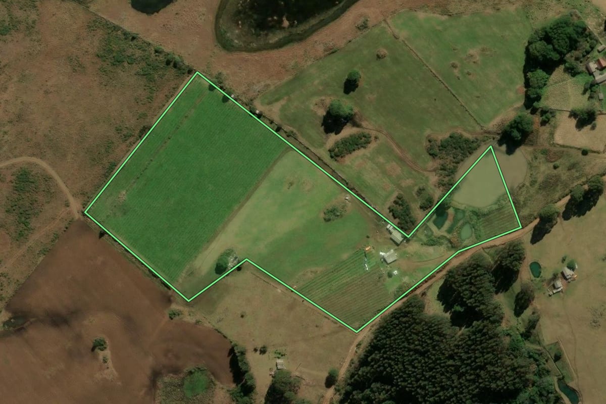 Imagem de satélite do imóvel rural em Bom Jesus (RS), com o contorno declarado no CAR desenhado por cima.