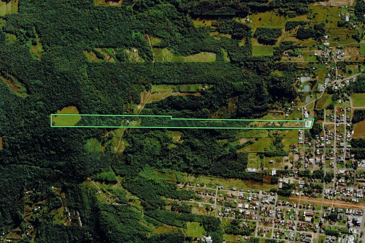 Imagem de satélite do imóvel rural em Bom Princípio (RS), com o contorno declarado no CAR desenhado por cima.