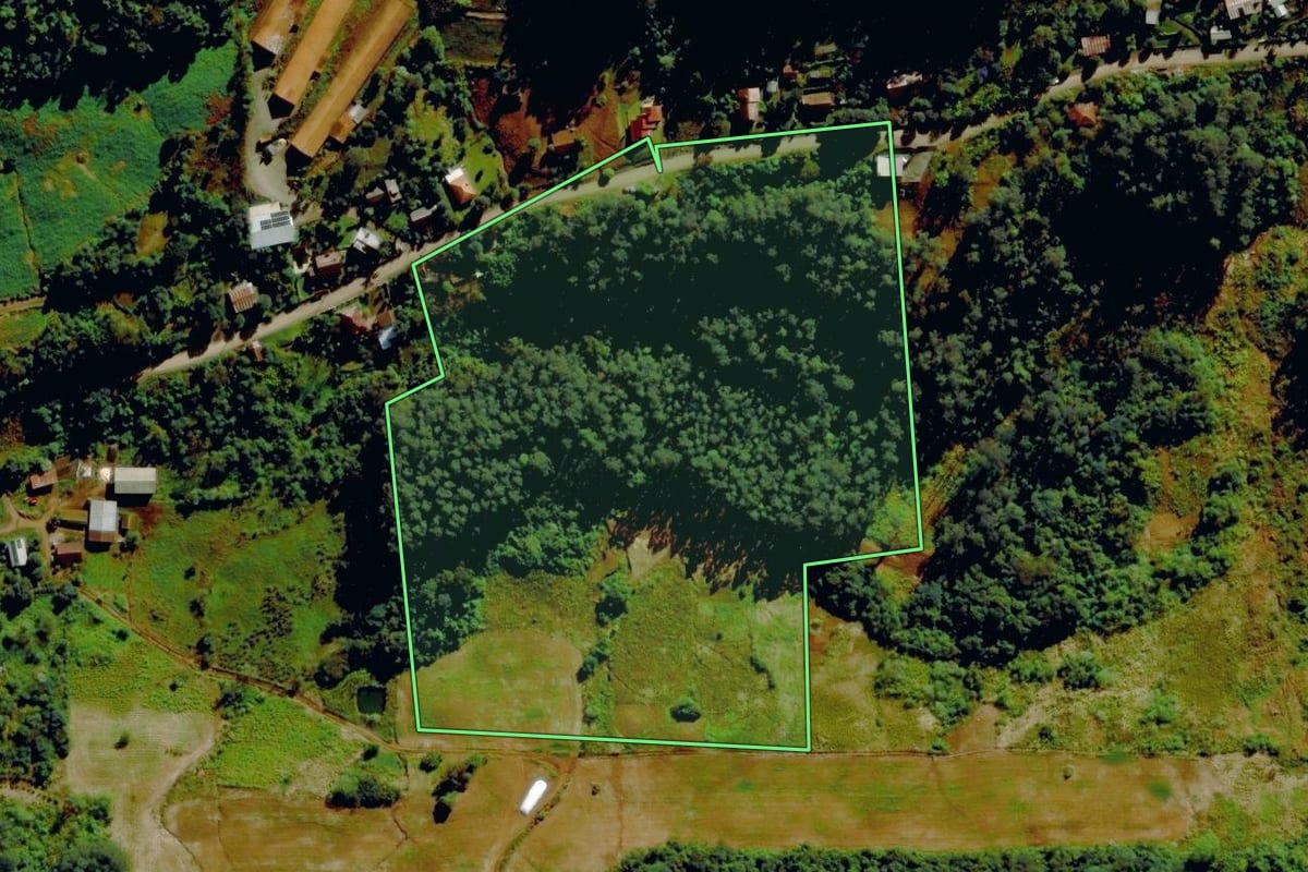Imagem de satélite do imóvel rural em Bom Princípio (RS), com o contorno declarado no CAR desenhado por cima.