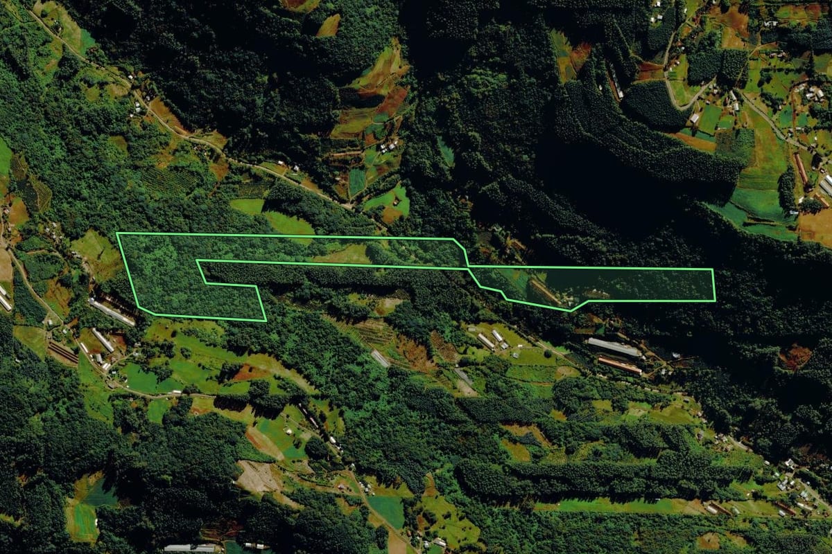 Imagem de satélite do imóvel rural em Bom Princípio (RS), com o contorno declarado no CAR desenhado por cima.