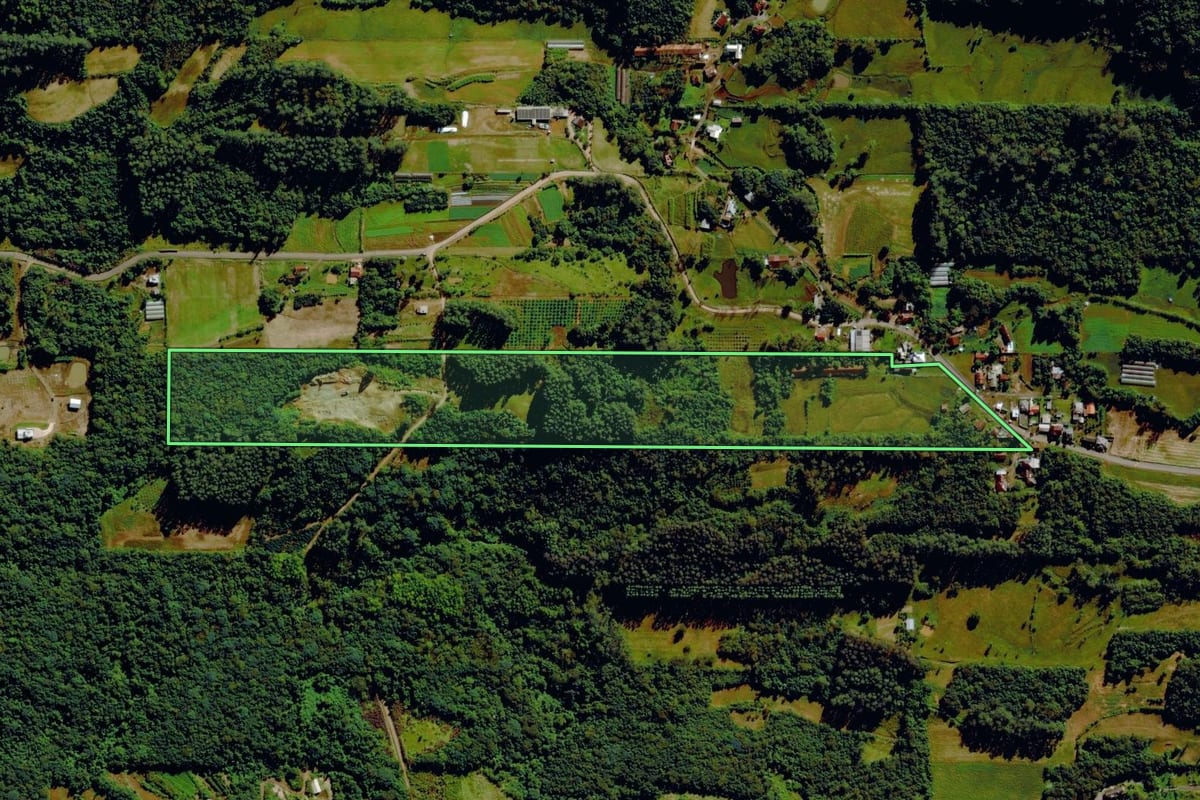 Imagem de satélite do imóvel rural em Bom Princípio (RS), com o contorno declarado no CAR desenhado por cima.
