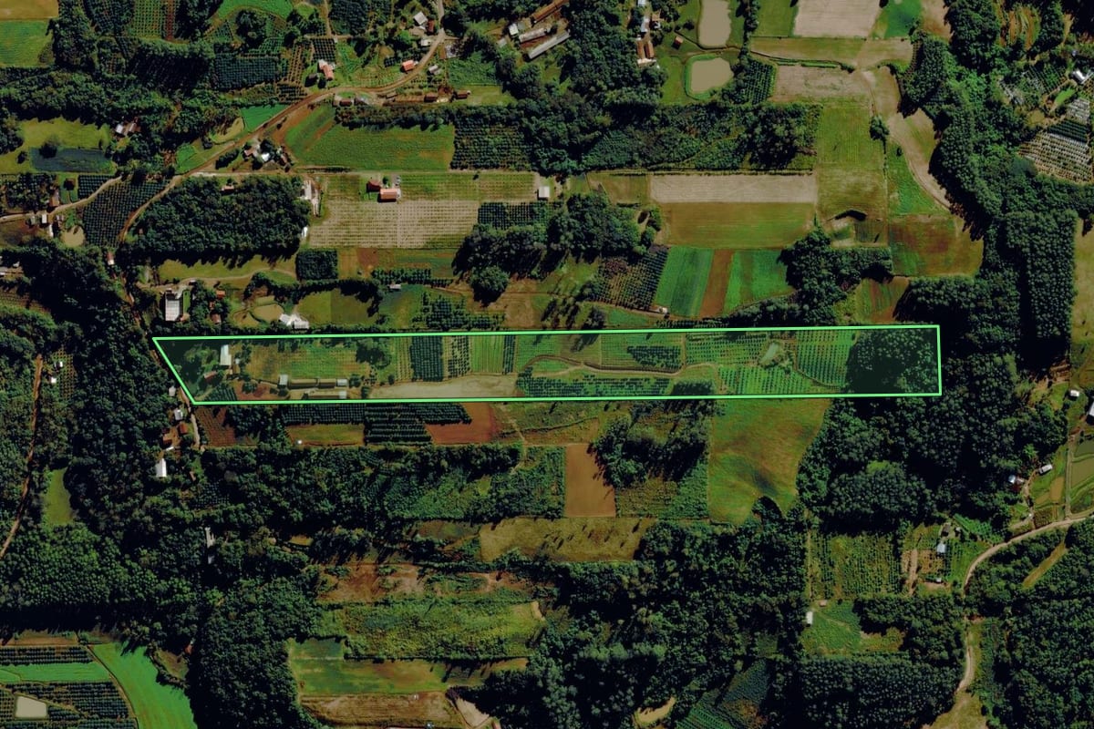 Imagem de satélite do imóvel rural em Bom Princípio (RS), com o contorno declarado no CAR desenhado por cima.