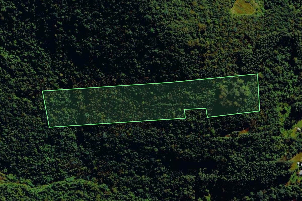 Imagem de satélite do imóvel rural em Bom Princípio (RS), com o contorno declarado no CAR desenhado por cima.