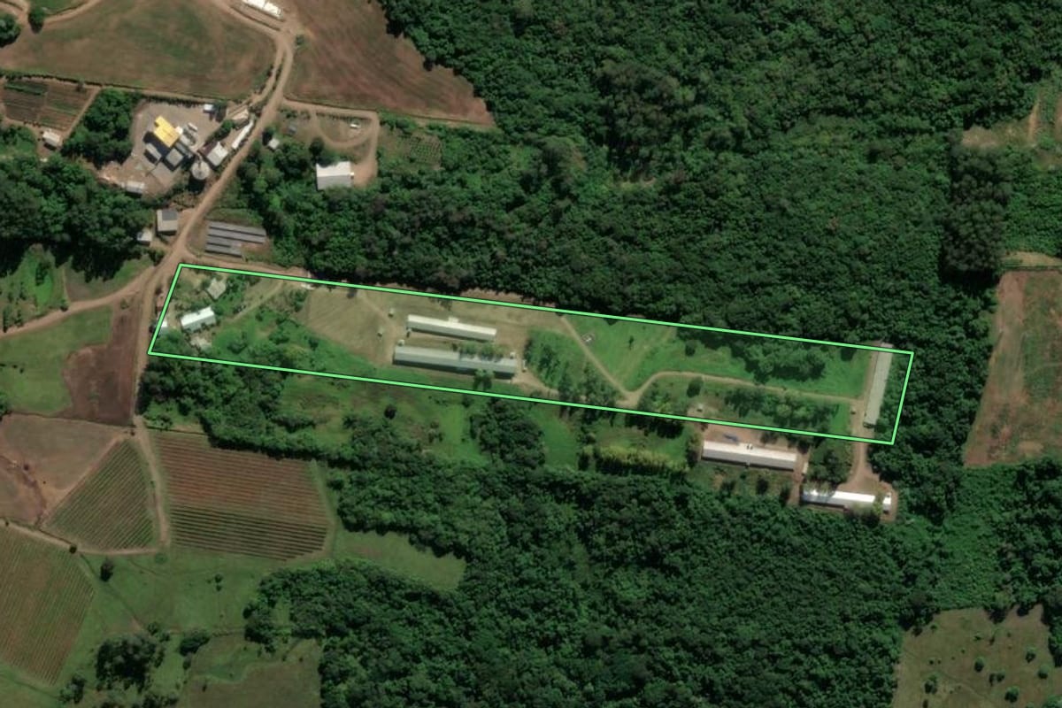 Imagem de satélite do imóvel rural em Bom Princípio (RS), com o contorno declarado no CAR desenhado por cima.