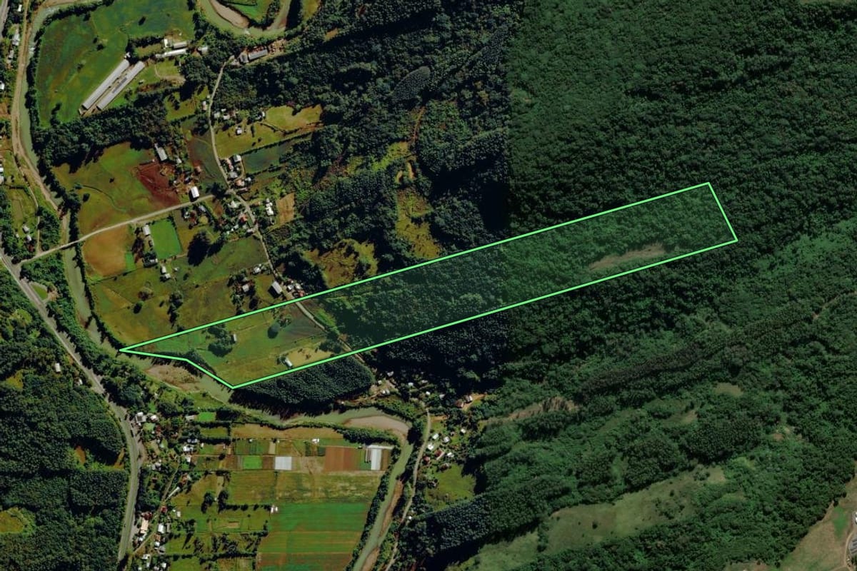 Imagem de satélite do imóvel rural em Bom Princípio (RS), com o contorno declarado no CAR desenhado por cima.