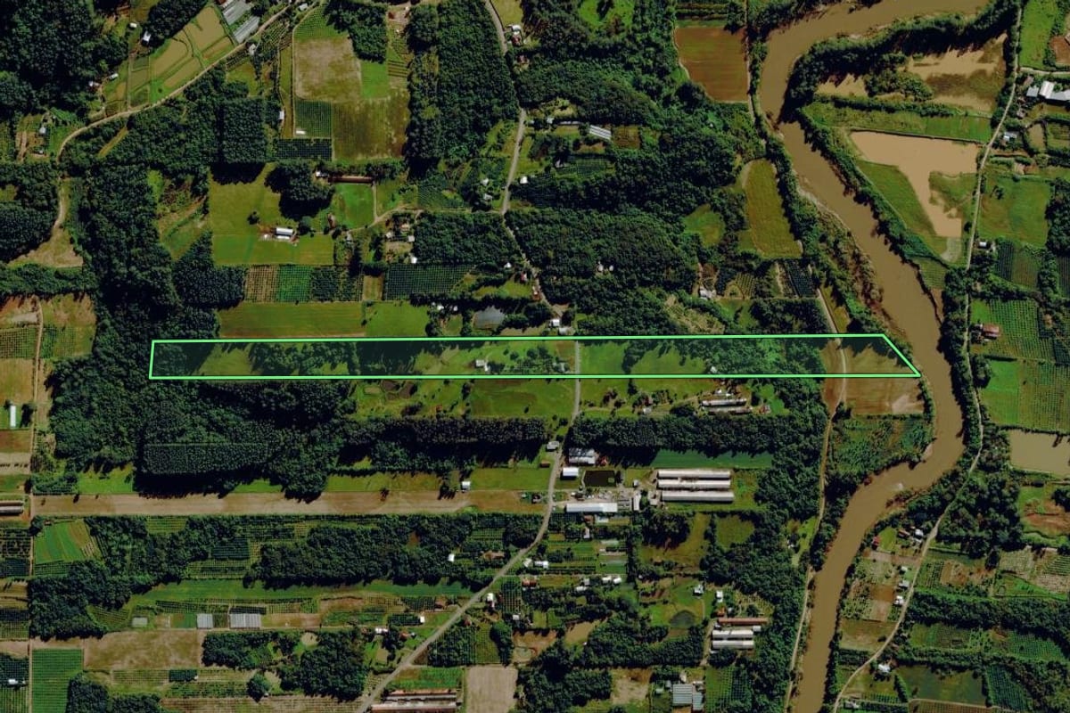 Imagem de satélite do imóvel rural em Bom Princípio (RS), com o contorno declarado no CAR desenhado por cima.