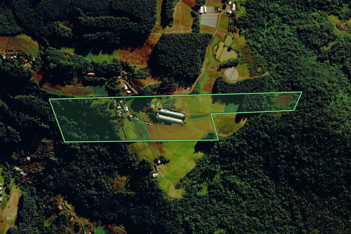 Imagem de satélite do imóvel rural em Bom Princípio (RS), com o contorno declarado no CAR desenhado por cima.