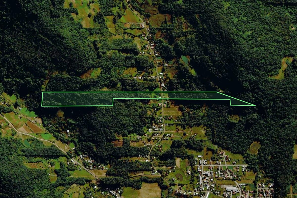 Imagem de satélite do imóvel rural em Bom Princípio (RS), com o contorno declarado no CAR desenhado por cima.