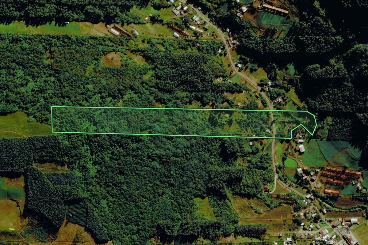 Imagem de satélite do imóvel rural em Bom Princípio (RS), com o contorno declarado no CAR desenhado por cima.