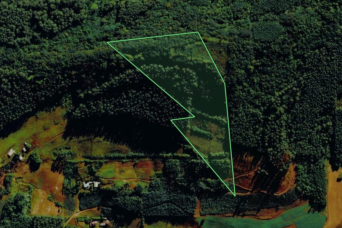 Imagem de satélite do imóvel rural em Bom Princípio (RS), com o contorno declarado no CAR desenhado por cima.