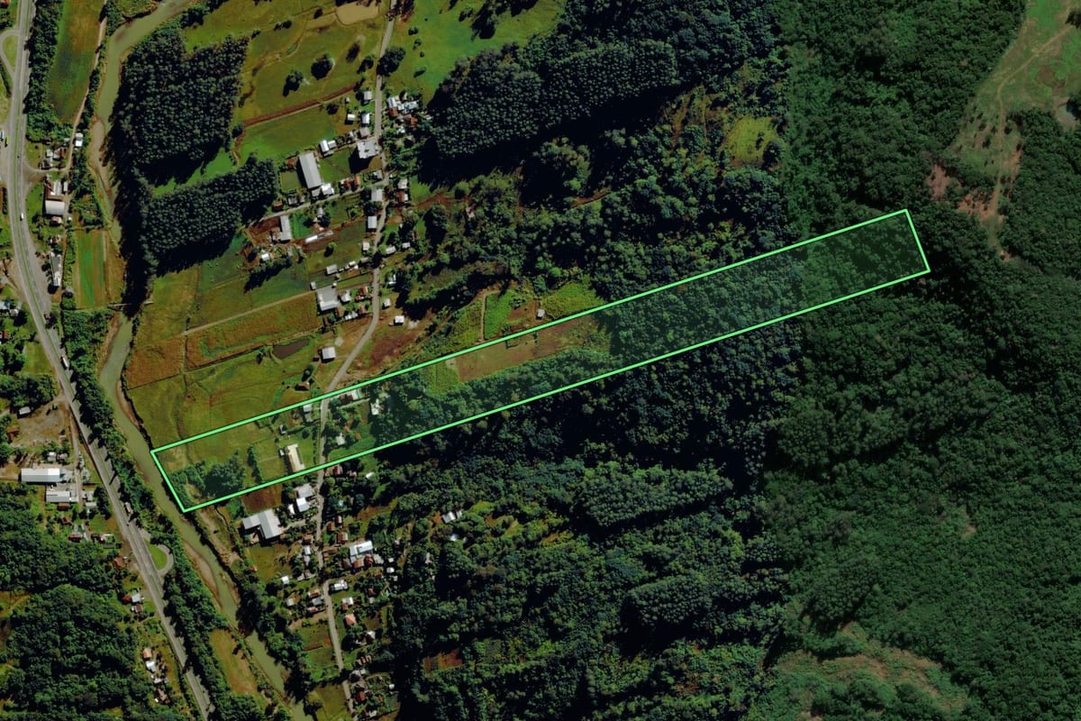 Imagem de satélite do imóvel rural em Bom Princípio (RS), com o contorno declarado no CAR desenhado por cima.