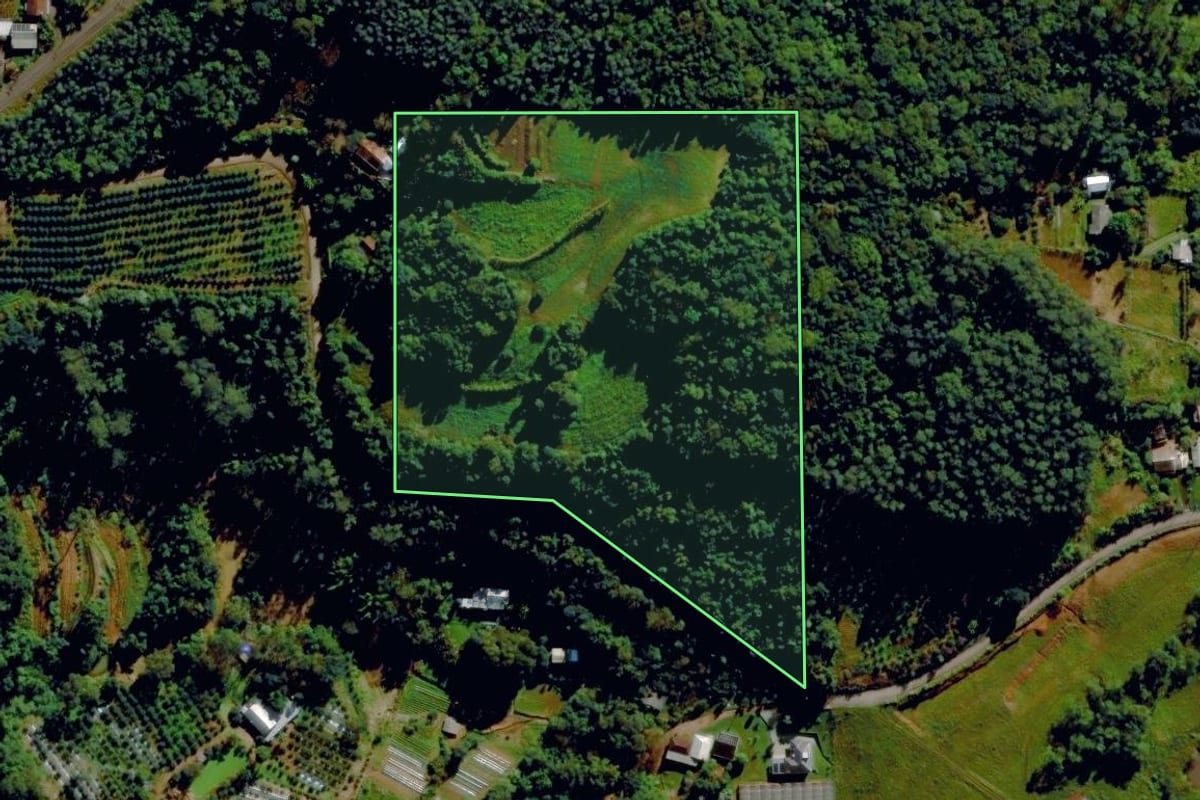 Imagem de satélite do imóvel rural em Bom Princípio (RS), com o contorno declarado no CAR desenhado por cima.