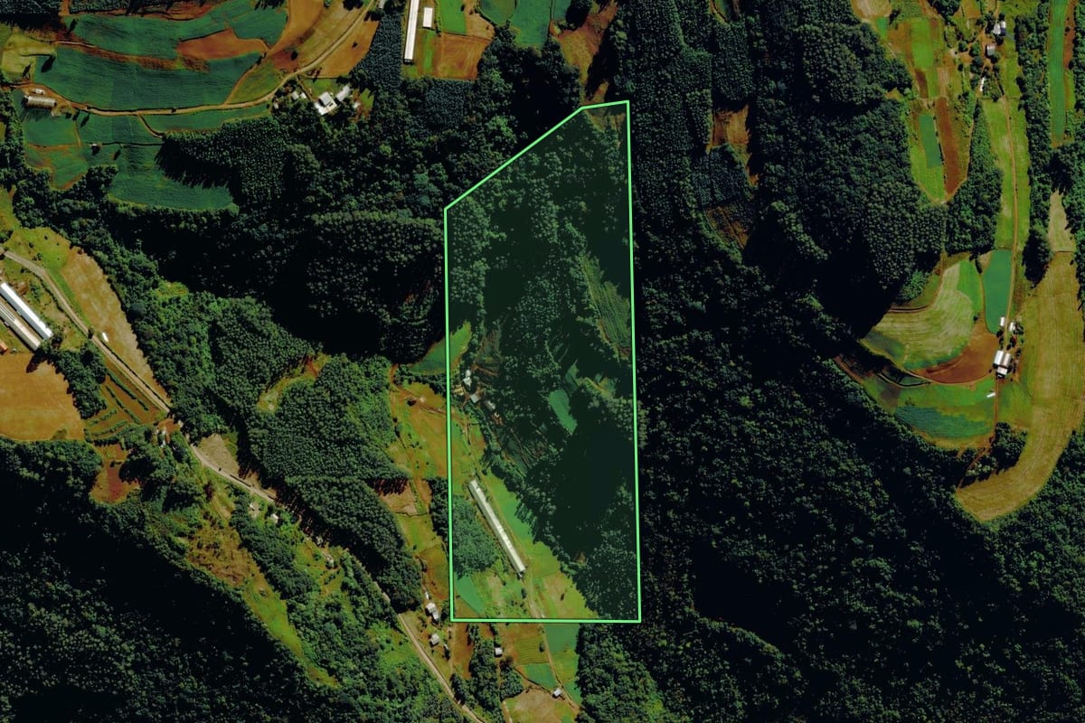 Imagem de satélite do imóvel rural em Bom Princípio (RS), com o contorno declarado no CAR desenhado por cima.
