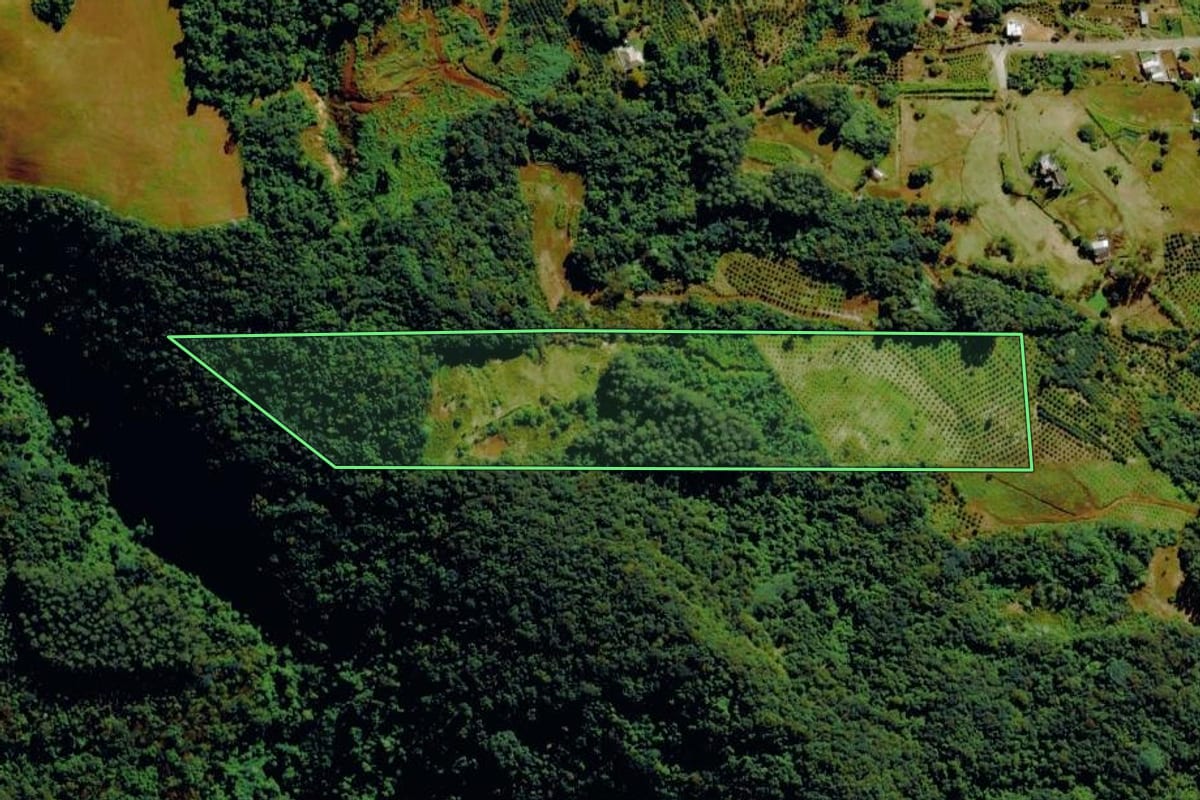 Imagem de satélite do imóvel rural em Bom Princípio (RS), com o contorno declarado no CAR desenhado por cima.