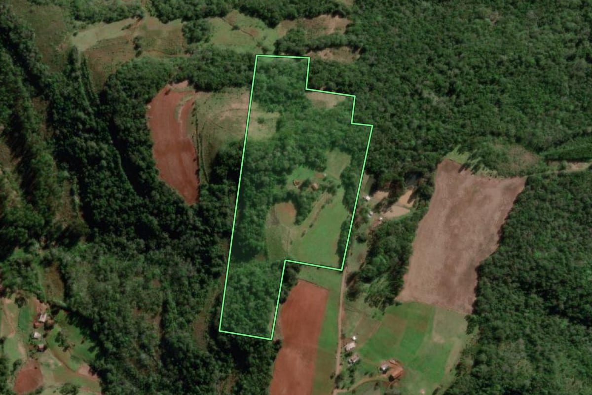 Imagem de satélite do imóvel rural em Bom Progresso (RS), com o contorno declarado no CAR desenhado por cima.