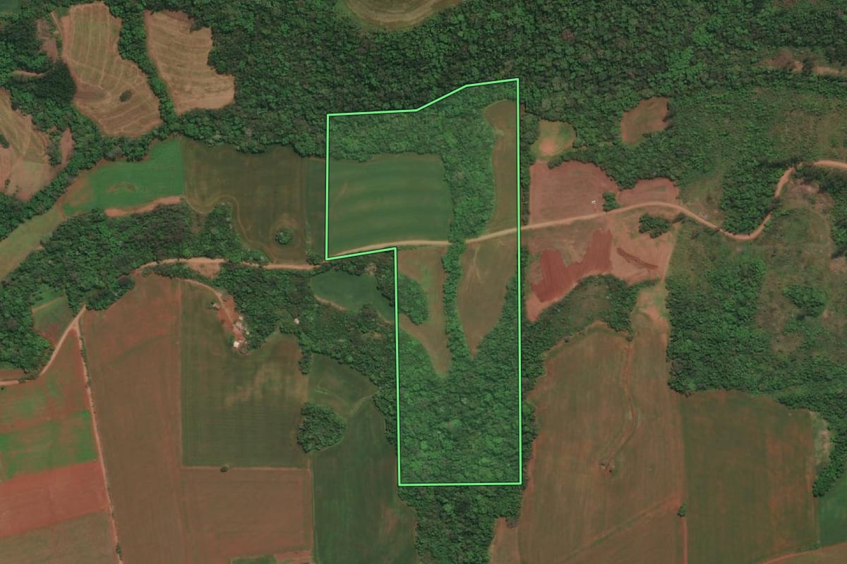 Imagem de satélite do imóvel rural em Bom Progresso (RS), com o contorno declarado no CAR desenhado por cima.