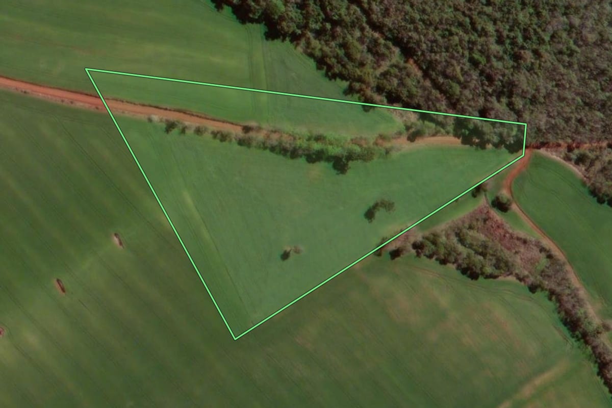 Imagem de satélite do imóvel rural em Bom Progresso (RS), com o contorno declarado no CAR desenhado por cima.