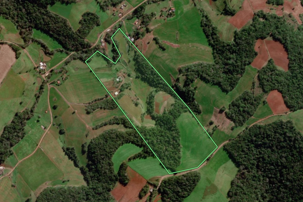 Imagem de satélite do imóvel rural em Bom Progresso (RS), com o contorno declarado no CAR desenhado por cima.